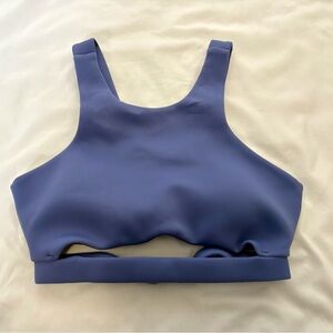 Cleo Harper Purple/Blue Sports Bra
